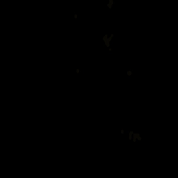 carlospvcheco